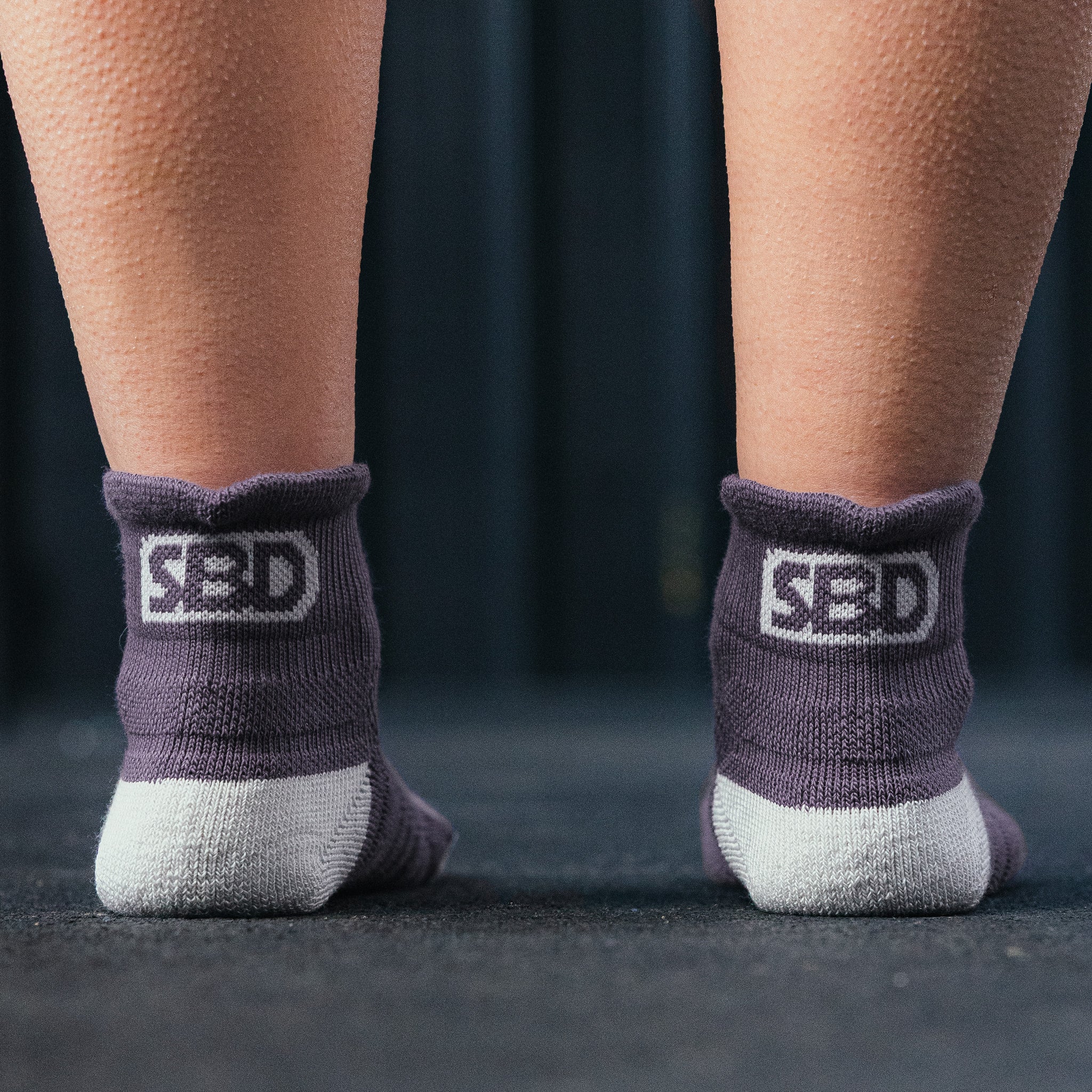 SBD Trainer Socken (Limitierte Aspire Edition) - Image 2